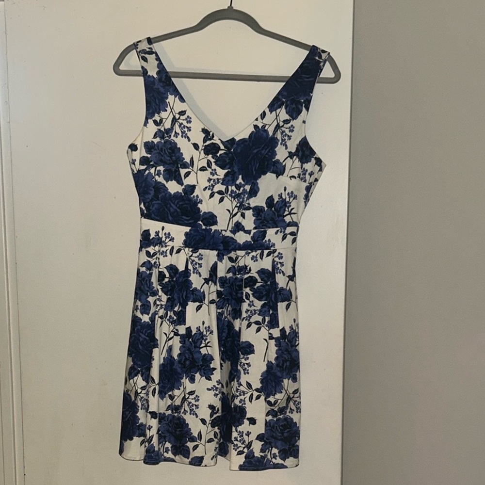 Floral Blue and White Dress